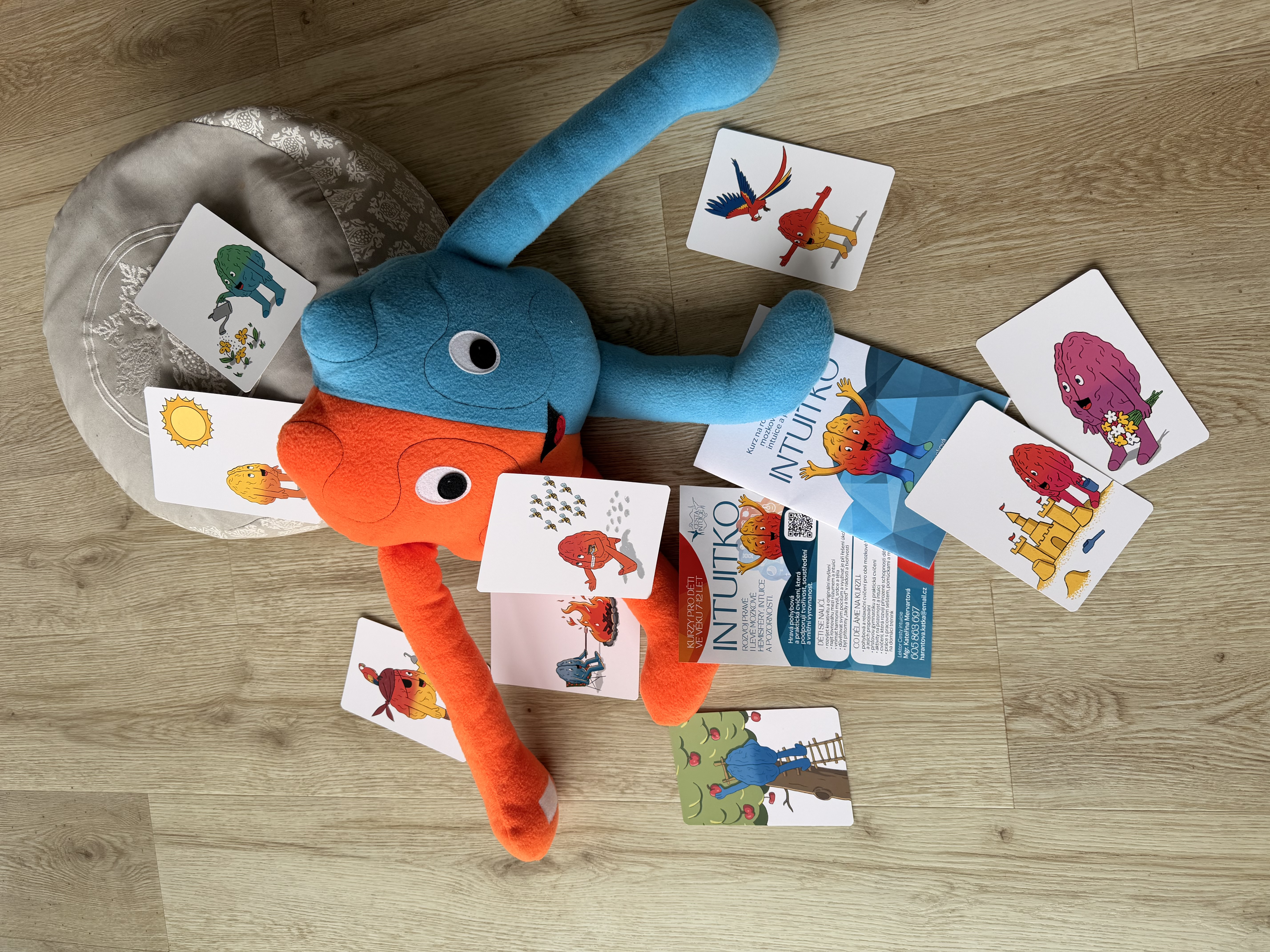 INTUITKO — Kateřina Mervartová